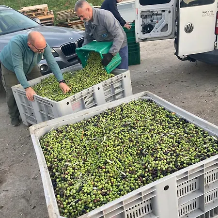 La Casa Fra Gli Ulivi Umbra Апартаменты *