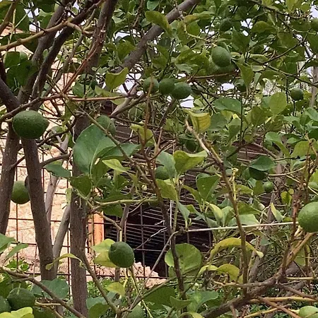 La Casa Fra Gli Ulivi Umbra Appartement