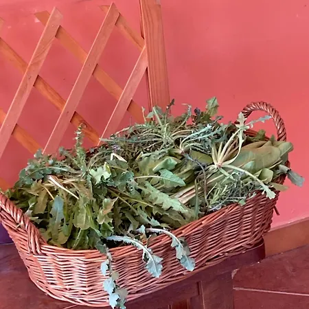 La Casa Fra Gli Ulivi Umbra Appartement *