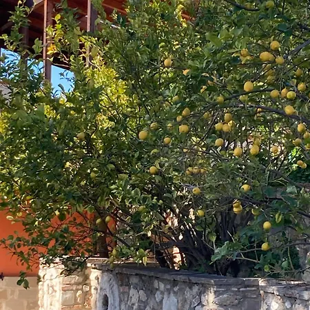 Appartement La Casa Fra Gli Ulivi Umbra *