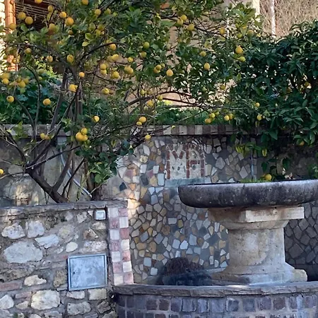 La Casa Fra Gli Ulivi Umbra Appartement Terni