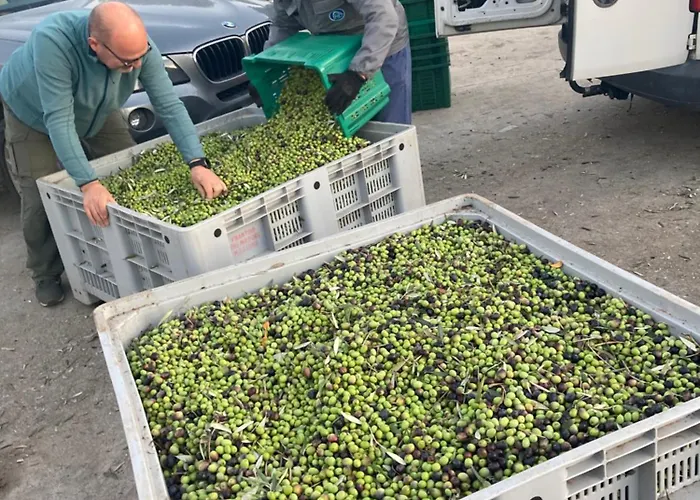 La Casa Fra Gli Ulivi Umbra 아파트 *