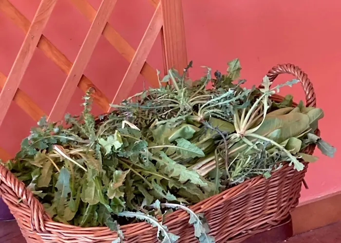 La Casa Fra Gli Ulivi Umbra 아파트 *